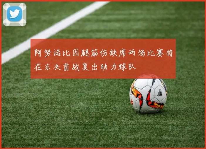 阿努诺比因腿筋伤缺席两场比赛将在东决首战复出助力球队