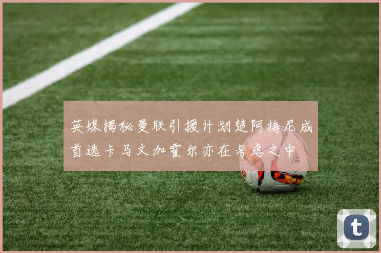 英媒揭秘曼联引援计划楚阿梅尼成首选卡马文加霍尔亦在考虑之中